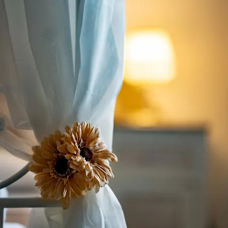 Petra בית הארחה